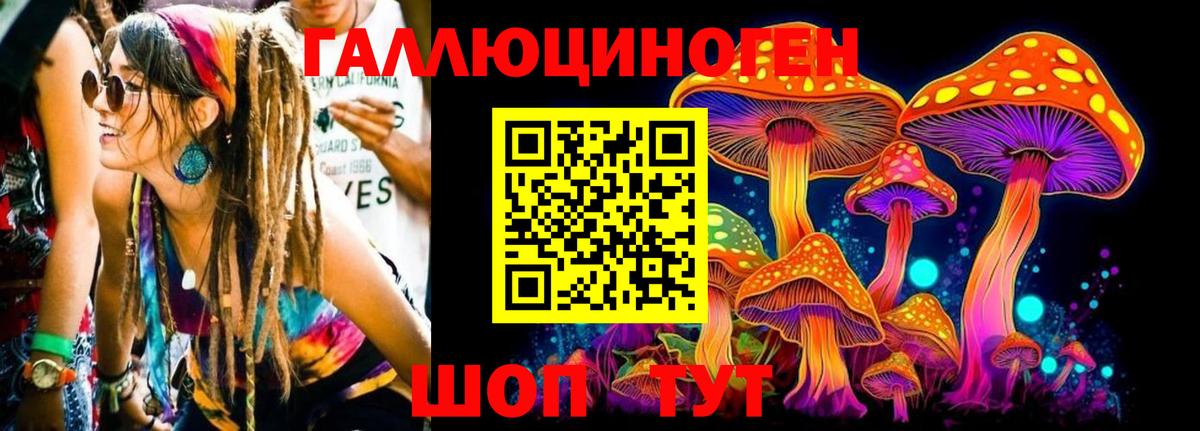 Псилоцибиновые грибы GOLDEN TEACHER Подольск